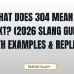 what does 304 mean