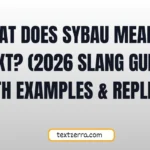 meaning of sybau