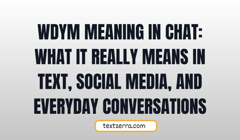 wdym meaning in chat
