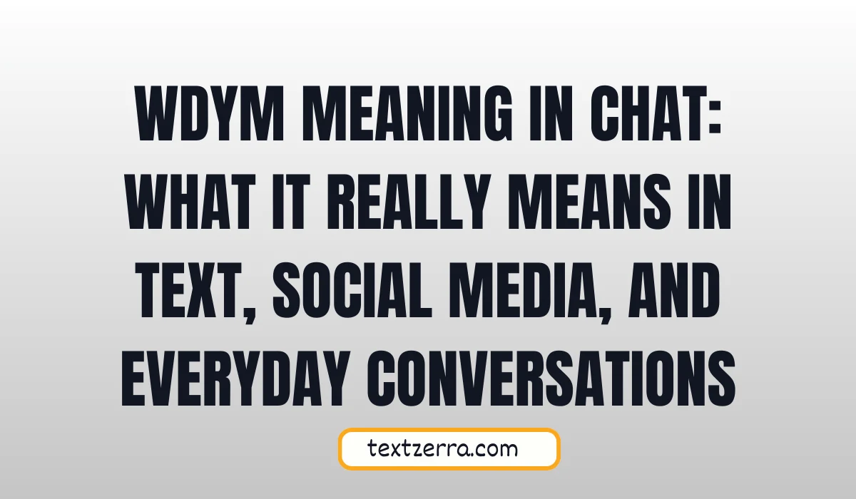 wdym meaning in chat