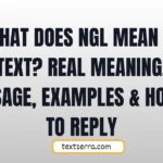 what does ngl mean in text