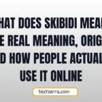 what does skibidi mean