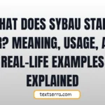 what does sybau stand for
