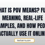what is pov means