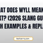 wyll meaning in chat