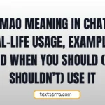 lmao meaning in chat