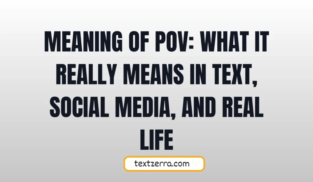 meaning of pov