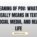 meaning of pov