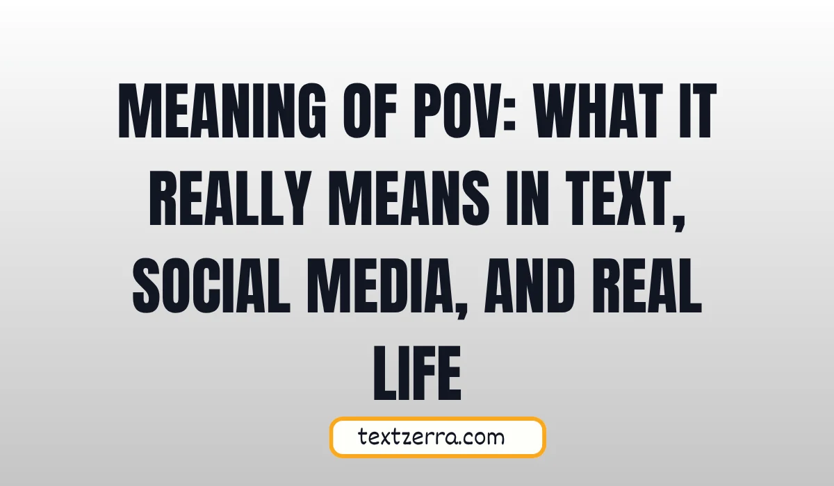 meaning of pov
