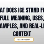 what does ice stand for