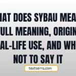what does sybau mean