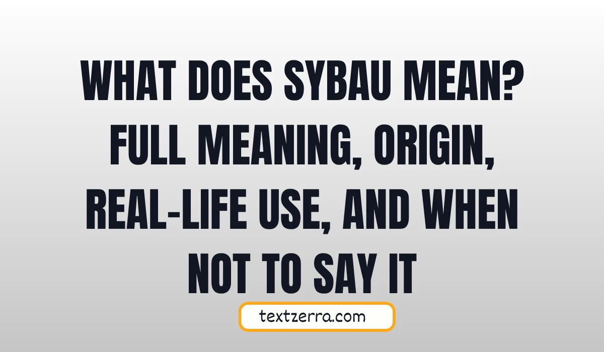 what does sybau mean