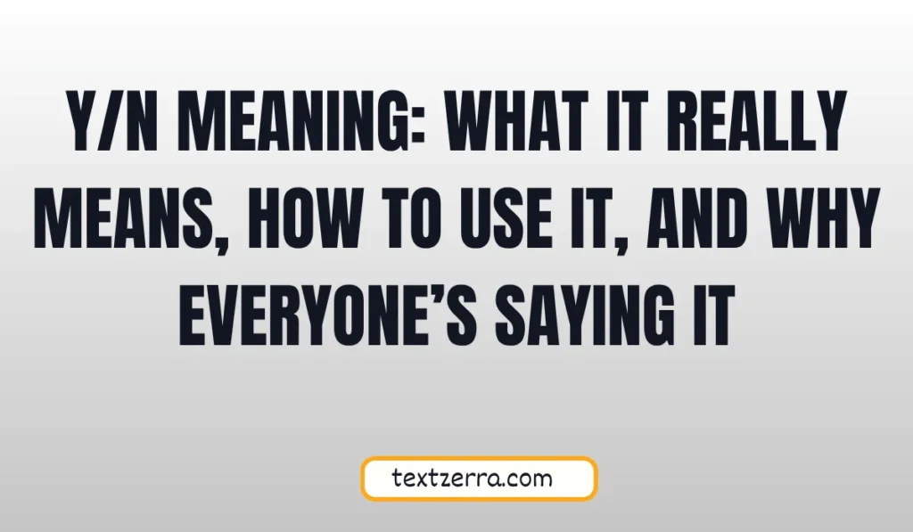 y/n meaning