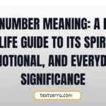 333 number meaning