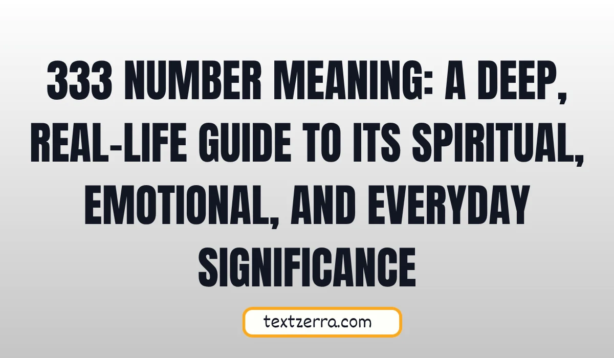 333 number meaning