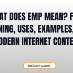 what does emp mean