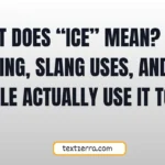 what does ice mean