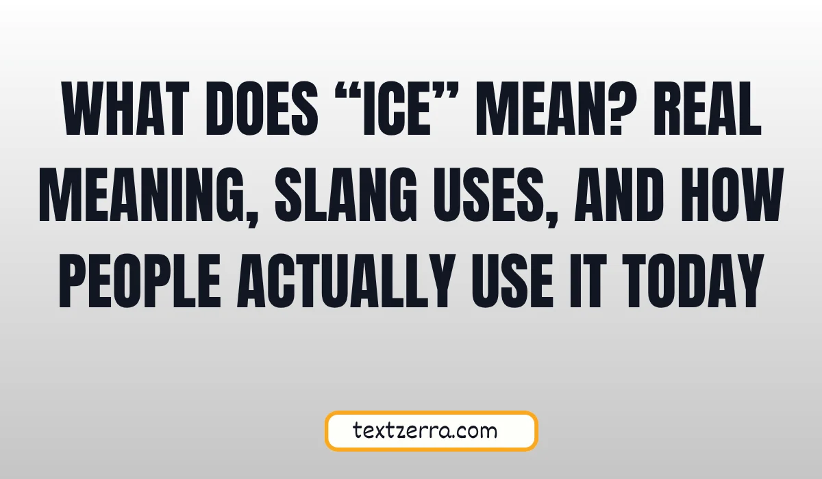 what does ice mean