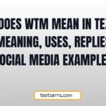 what does wtm mean in texting