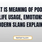 what is meaning of pookie