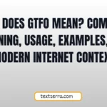what does gtfo mean