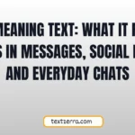 wsp meaning text