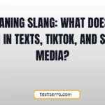 ssa meaning slang